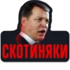 СПОРТ 2026 25