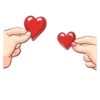 The Signs of Love 21