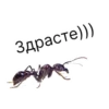 Здрасте))))