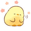 Soft and Cute Chicks New @softandqt 12