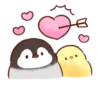 Soft and Cute Chicks New @softandqt 13