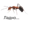 Ладно...
