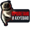 СПОРТ 2026 29
