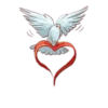 The Signs of Love 24