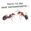 Кого-то вы мне напоминаете...