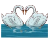 The Signs of Love 26