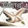 Uzhe tretiy 30