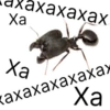 Xa Xa axaxaxax- xaxaxaxaxaxax Xa