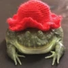 Toads and Frogs 7
