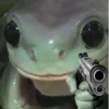 Toads and Frogs 11