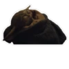 Baby Yoda [The Child from Mandalorian] 6