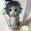 СRсRо | Kat_wen 13