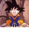 🖤--Goku--🖤 17