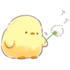 soft and cute chick (spring) 6