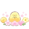 soft and cute chick (spring) 8