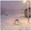 НГ HAPPY CAT  (@emopix) 6
