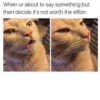 When ur about to say something but then decide it's not worth the effort
