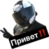 Lisenok_moto 8