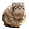 Spring manul @anime4_arts 6
