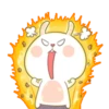 Cute bunny 12