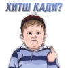 ХИТШ КАДИ?