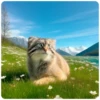 Spring manul @anime4_arts 8