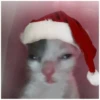 НГ HAPPY CAT  (@emopix) 12