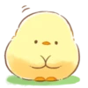 soft and cute chick (spring) 17