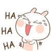Cute bunny 14