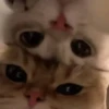 Doble mirada