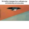 Me reading messages from notification bar and pretending not to be online