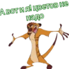 Lisenok_moto 15