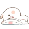 Cute bunny 17