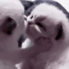 Beso gatuno