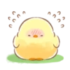 soft and cute chick (spring) 19