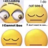 i am Looking away I do not see it I Cannot See I don't want to see...