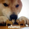 QSzfCRgbZFoMaZCoa_by_stickers_stealer_bot 20