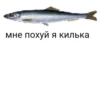 мне похуй я килька