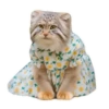 Spring manul @anime4_arts 14