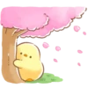 soft and cute chick (spring) 26