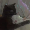 Abrazo mágico