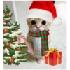 НГ HAPPY CAT  (@emopix) 20