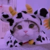 Disfraz vaca