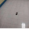 @kitygifs 2