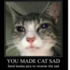 YOU MADE CAT SAD Send booba pics to reverse the sad
