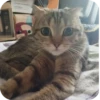 Стикеры от Артёма @new_artme4i 5