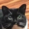 @kitygifs 11