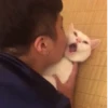 @kitygifs 12