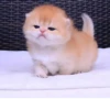 @kitygifs 14
