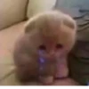 @kitygifs 16